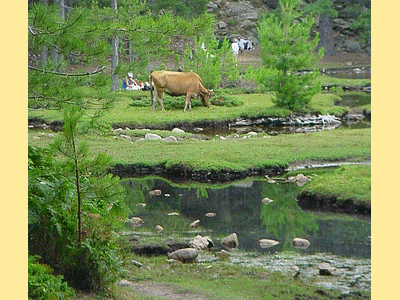 Lac de CRENO  