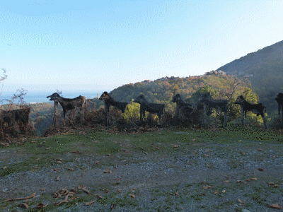 Des peaux de sangleirs sèchent sur le grillage (20151215)    (Photographie de Paularella) <br><A href=corse/e1/chasse410.jpg>Afficher l'image ?</A>