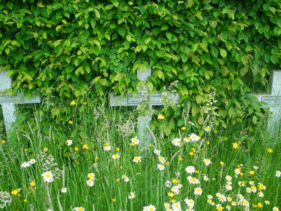 Tombe deGRIMALDI Ange François à <a HREF=fotom2l.php?necro=162>  <U>Mennevret (Carré militaire) </U> </A>  