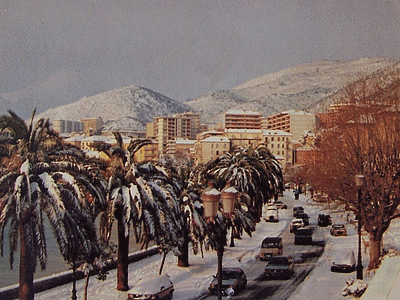 AJACCIO - Sous la neige (20060515)    (Photographie de Monique-Rossi) <br><A href=vos/1900/010.jpg>Afficher l'image ?</A>