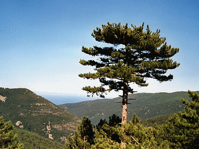 En montant au col de CATERI