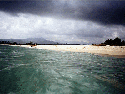 Nuages - Grain en préparation (20060401)    (Photographie de Murtulina) <br><A href=vos/2000/025.jpg>Afficher l'image ?</A>