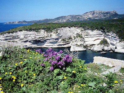 BONIFACIO paradisiaque en avril 2006 (l‚entrée du goulet)