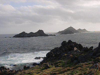 AJACCIO - îles Sanguinaires