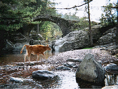 TARTAGINE - Pont gênois