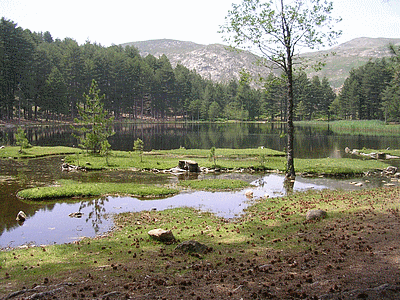 Lac de CRENO  