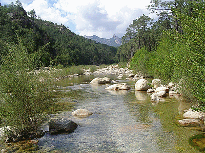 Bavella (Rivière de Bavella)