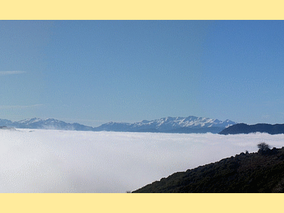 MORIANI - JC.P. y voit un oiseau-nuage survoler une mer de nuages.<BR>(Photo prise sur les hauteurs de Moriani au dessus de Santa Reparata sur la pointe des Tre Pieve)