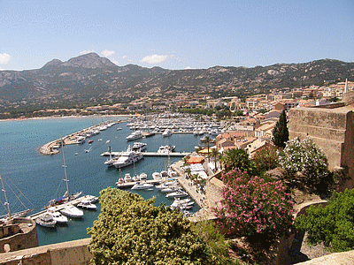 CALVI <BR> Le port de plaisance vu de la citadelle