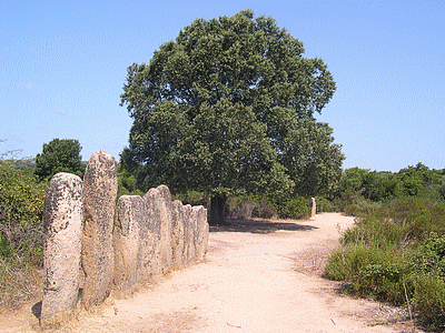 SARTENE <BR>Site prehistorique de PALLAGIU <BR> Alignements de PALAGHJU