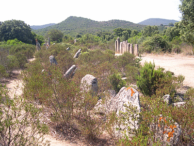 SARTENE <BR>Site prehistorique de PALLAGIU <BR> Alignements de PALAGHJU