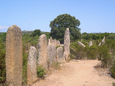 SARTENE <BR>Site prehistorique de PALLAGIU <BR> Alignements de PALAGHJU