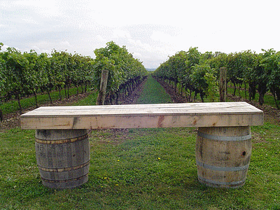 TORONTO (CANADA) <BR> Un bien beau vignoble