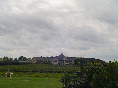 TORONTO (CANADA) <BR> Un bien beau vignoble