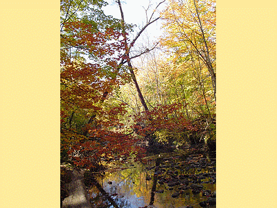 TORONTO (CANADA)  <BR>Parc Edward Gardens en automne