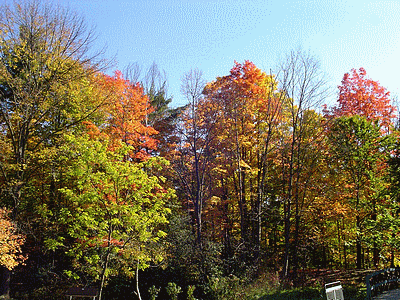 TORONTO (CANADA)  <BR>Parc Edward Gardens en automne