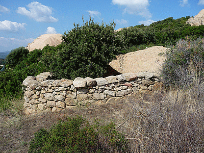 Orii au Col-de-Roccapina :<BR>De l&#130;autre c&ocirc;t&eacute; de la route, &aacute; c&ocirc;t&eacute; de la maison des cantonniers, se faufiler derri&egrave;re une t&ocirc;le d&eacute;fendant le passage sur le site , depuis la route.<BR>Sur ce site se trouvent 4 orii (certains cr&eacute;&eacute;s tr&egrave;s recemment) dont l&#130;un est visible de loin et se trouve en photo page 67 du guide des balades faciles du sud de la Corse par Fr&eacute;d&eacute;ric HUMBERT, photos de FranÃÂ§ois Balestriere, aux &eacute;ditions Cl&eacute;mentine, parution avril 2009 .  