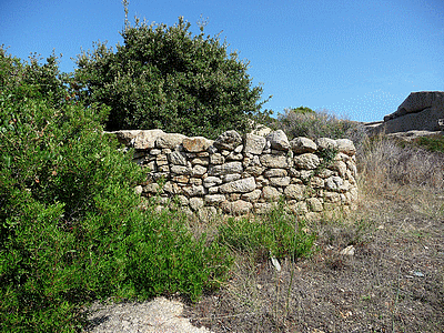 Orii au Col-de-Roccapina :<BR>De l&#130;autre c&ocirc;t&eacute; de la route, &aacute; c&ocirc;t&eacute; de la maison des cantonniers, se faufiler derri&egrave;re une t&ocirc;le d&eacute;fendant le passage sur le site , depuis la route.<BR>Sur ce site se trouvent 4 orii (certains cr&eacute;&eacute;s tr&egrave;s recemment) dont l&#130;un est visible de loin et se trouve en photo page 67 du guide des balades faciles du sud de la Corse par Fr&eacute;d&eacute;ric HUMBERT, photos de FranÃÂ§ois Balestriere, aux &eacute;ditions Cl&eacute;mentine, parution avril 2009 . 