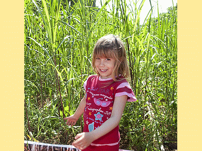 Océane ma petite-filleule<BR> (Et oui : je suis le parrain (moi=Mathieu)  de son parrain (Rémi=le photographe)  LOL)<BR>- Coucou......Â Devines oÃ¹ je suis ? (20100523)    (Photographie de Remi-Barre) <br><A href=vos/2008/001.jpg>Afficher l'image ?</A>