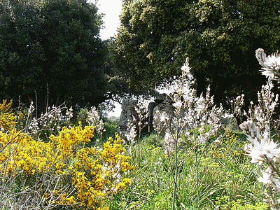 CASAGLIONE Dolmen de TREMECA<BR>   