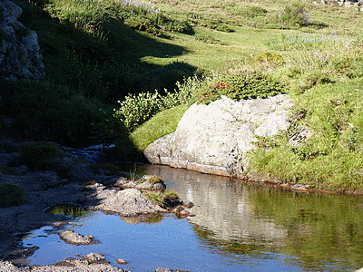 Plateau du  CUSCIONU