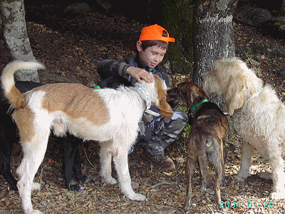 Kevin félicite ses chiens