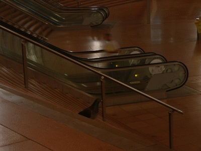 Un pigeon à la Station BNF (Bibliothèque nationale de France)