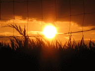Coucher de soleil - MORANCEZ ( 28 - EURE & LOIR) (20060101)    (Photographie de Remi-Barre) <br><A href=vos/3000/rb/225.jpg>Afficher l'image ?</A>