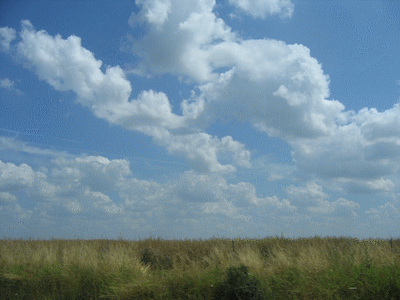 Près de TOURS (37 - Indre et loire)