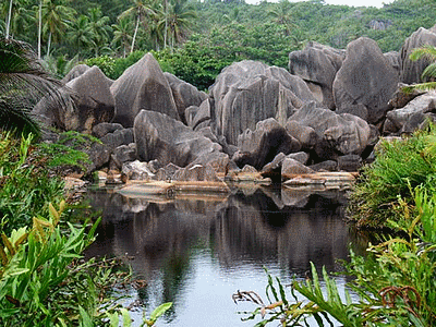 Les Seychelles (20061128)    (Photographie de FRRUIZ) <br><A href=vos/4000/008.jpg>Afficher l'image ?</A>