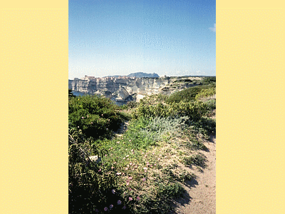 Fleurs roses du Silène soyeux (endémique)  - BONIFACIO Avril 2006 (20060518)    (Photographie de Murtulina) <br><A href=vos/flore/018.jpg>Afficher l'image ?</A>