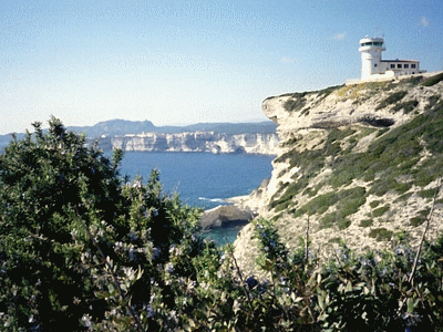 Lentisques et romarins  - BONIFACIO (Sémaphore de Pertusato) Avril 2006 (20060518)    (Photographie de Murtulina) <br><A href=vos/flore/020.jpg>Afficher l'image ?</A>