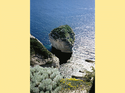 Armoise et lotier faux cytise (jaune)  - BONIFACIO (Le grain de sable) Avril 2006 (20060518)    (Photographie de Murtulina) <br><A href=vos/flore/021.jpg>Afficher l'image ?</A>