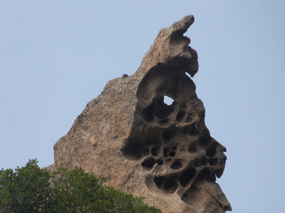 WIKIPEDIA : Taffoni (ou tafoni, mot invariable), du corse tafone, désigne en géomorphologie une forme en creux arrondie, de plusieurs décimètres á plusieurs mètres, creusée par l‚érosion dans les roches cristallines ou greseuses, en climat sec ou sur certaines cotes.<br />
 (20151215)    (Photographie de Mathieu-Nivaggioni) <br><A href=corse/e1/tafoni141.jpg>Afficher l'image ?</A>